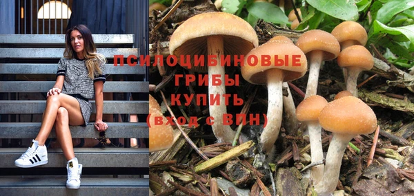 прущие крисы Богородск