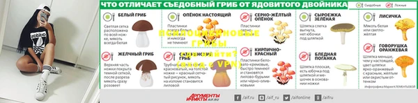кокс Богородицк