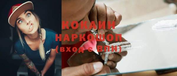 кокс Богородицк