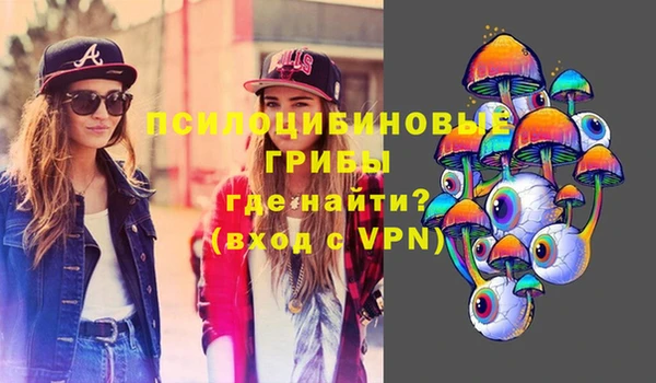 прущие крисы Богородск