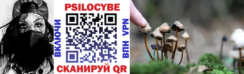 Галлюциногенные грибы прущие грибы  маркетплейс состав  Дмитров 